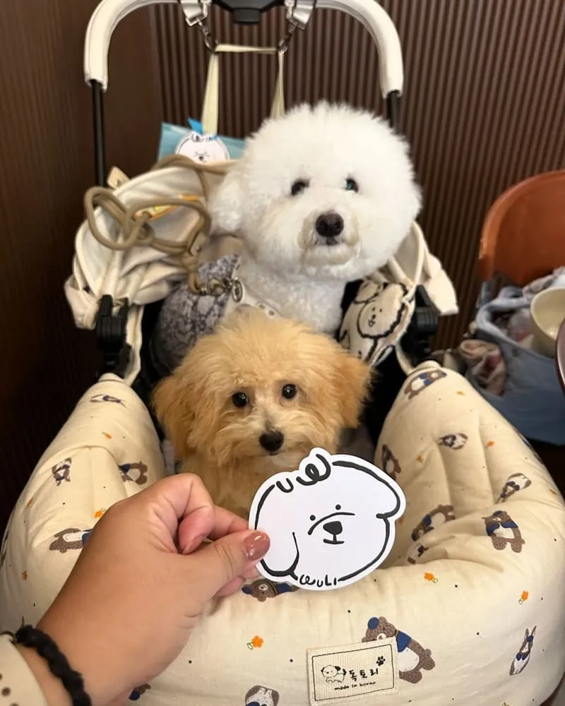 無理 WULI韓式料理餐廳