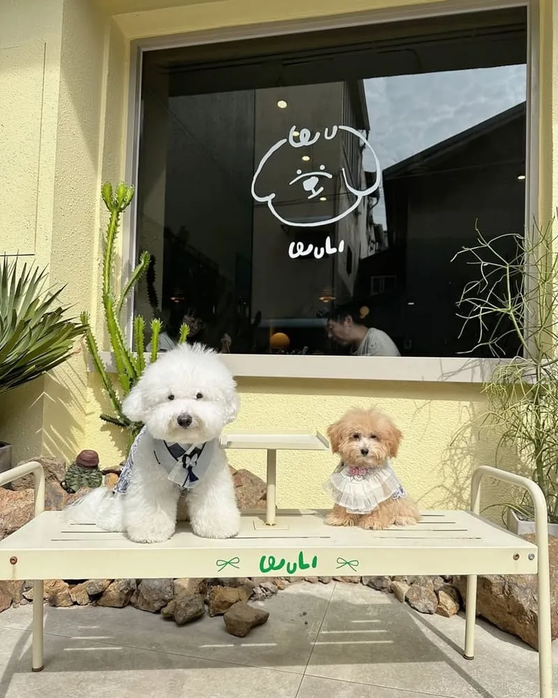 無理 WULI韓式料理餐廳