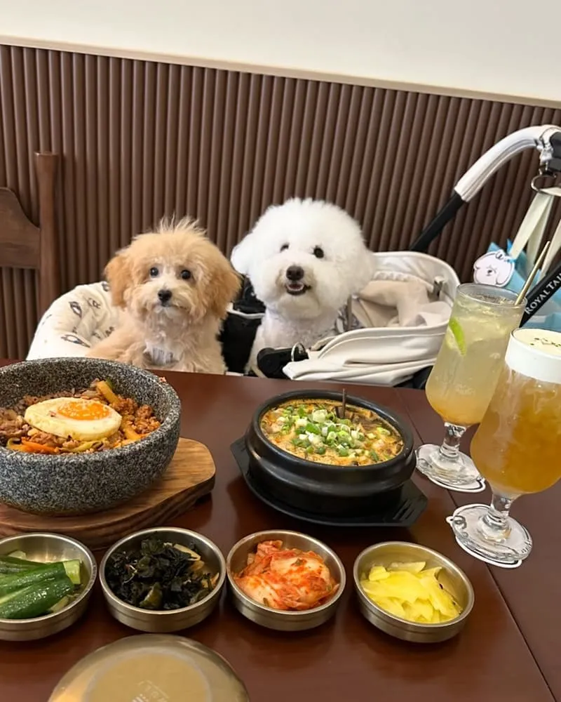 無理 WULI韓式料理餐廳
