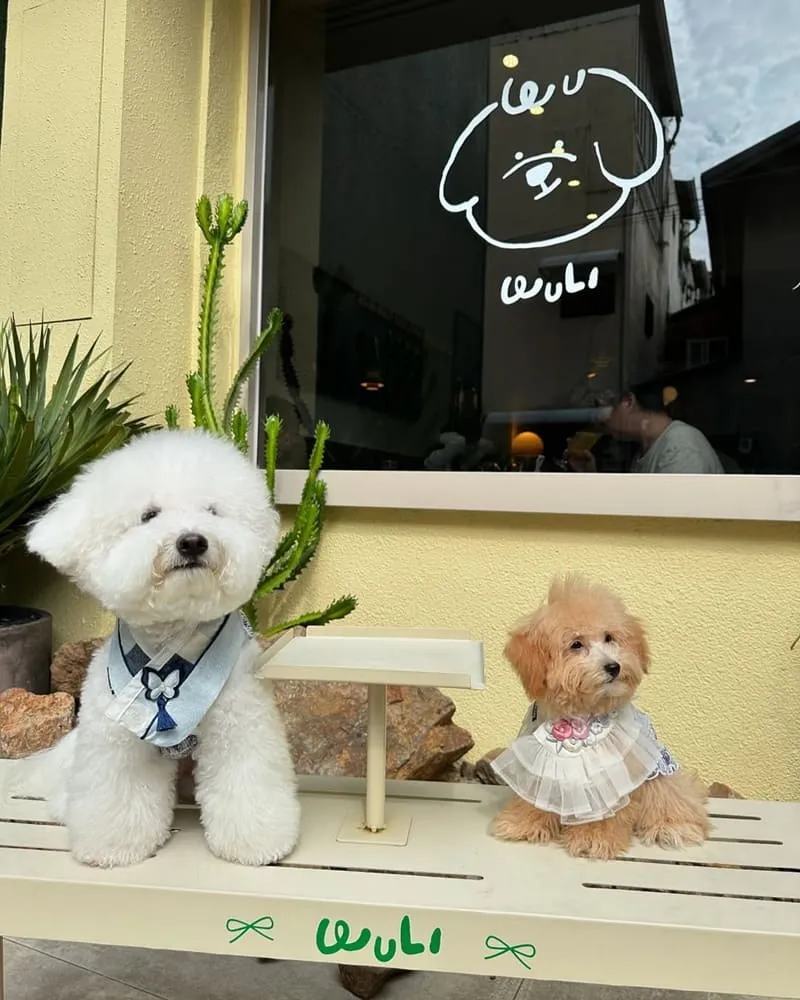 無理 WULI韓式料理餐廳