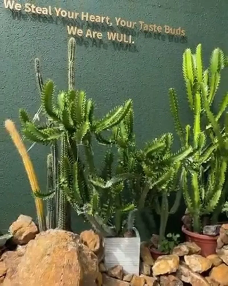 無理 WULI韓式料理餐廳