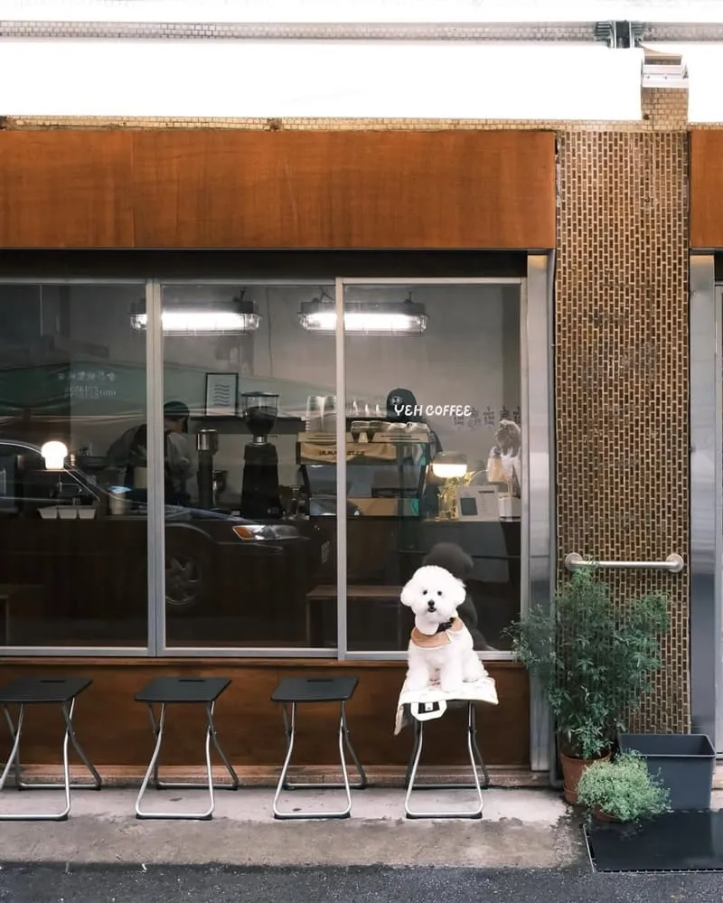 YEH COFFEE 嘉義寵物友善咖啡館