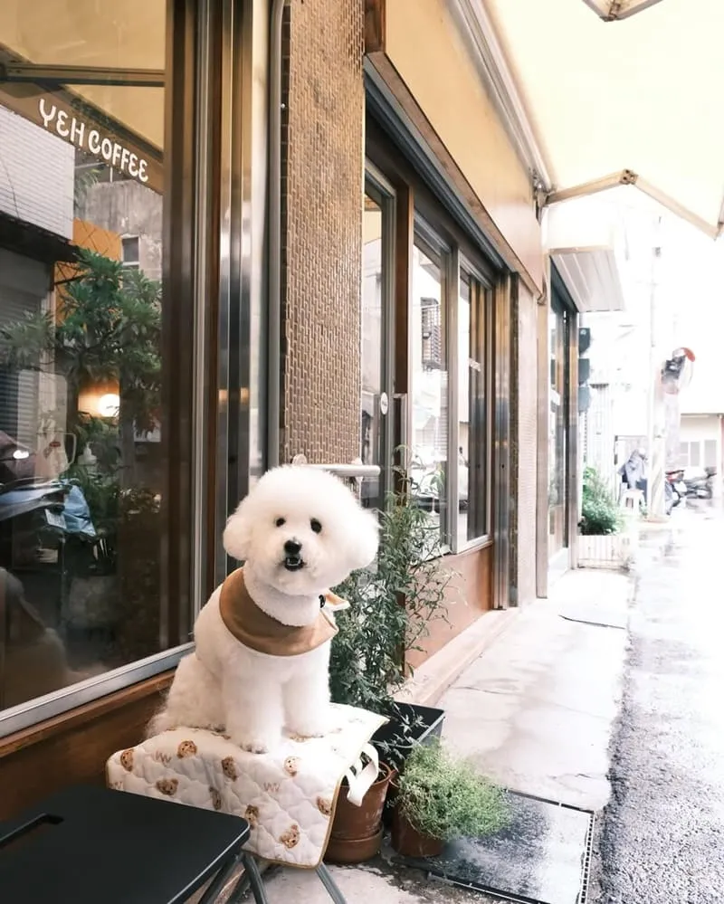 YEH COFFEE 嘉義寵物友善咖啡館