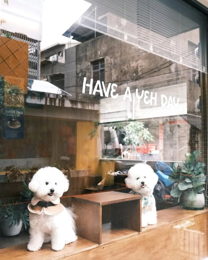YEH COFFEE 嘉義寵物友善咖啡館