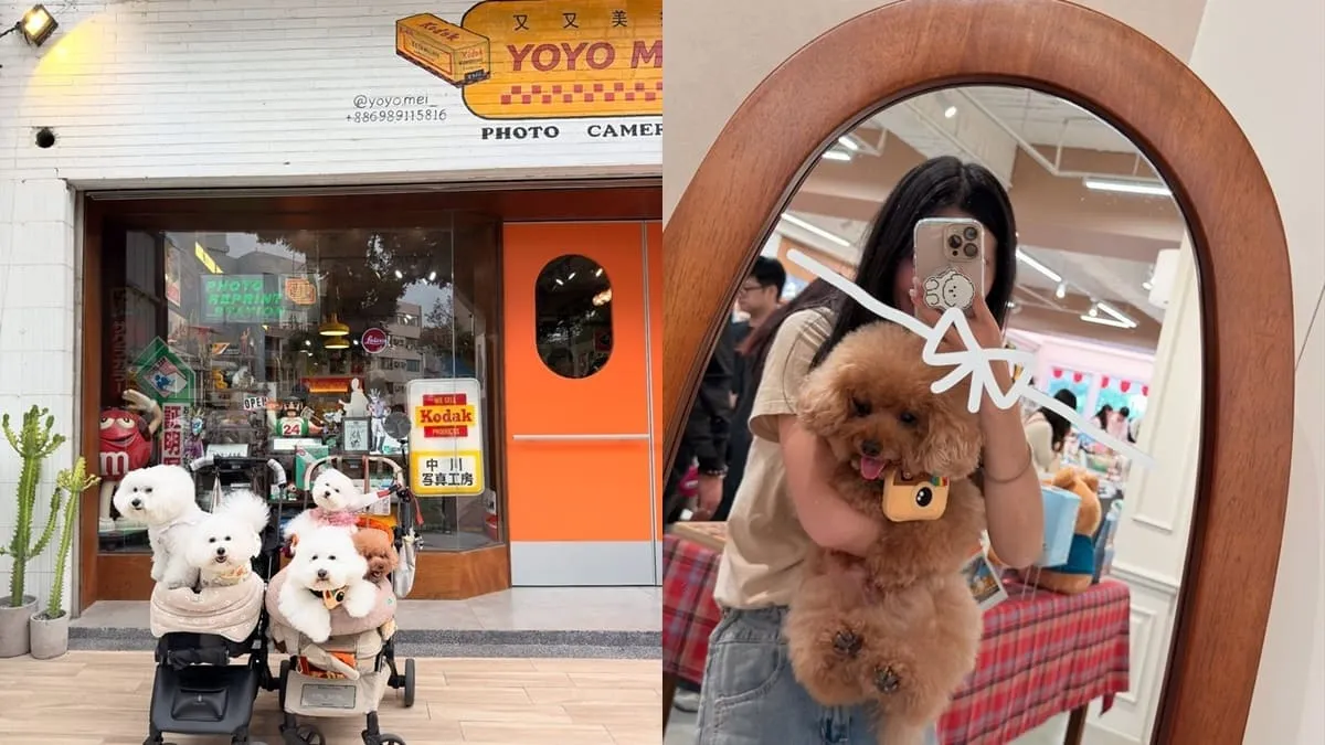 台南又又美FotoShop