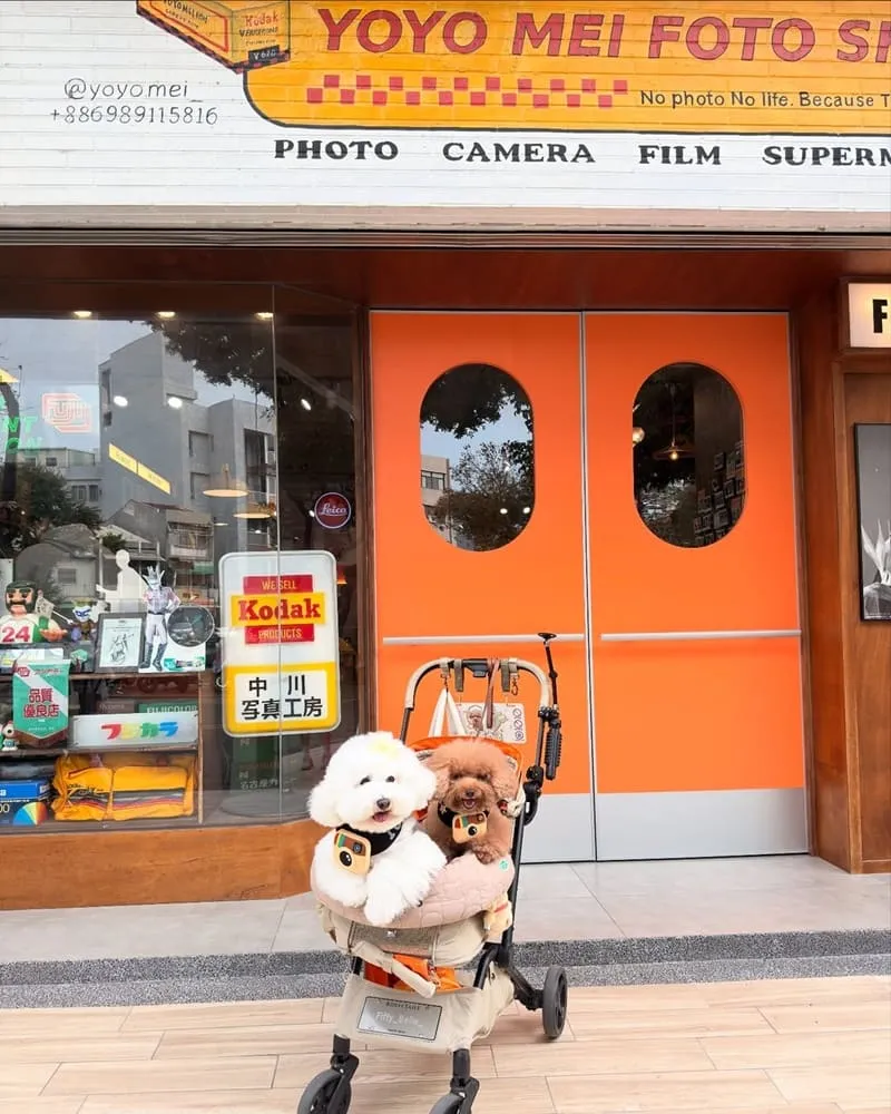 台南又又美FotoShop