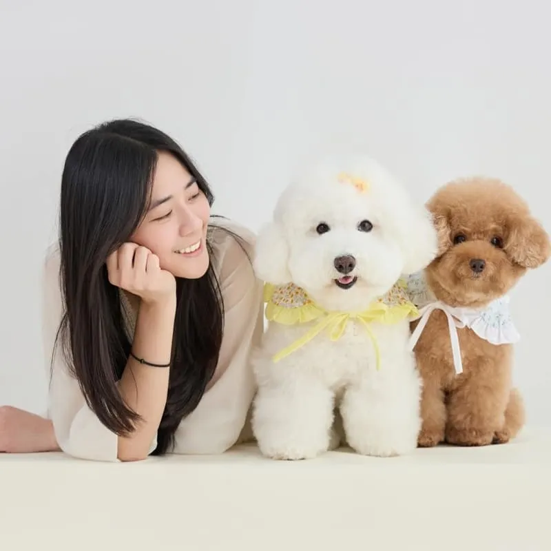 桃園直覺映像寵物全家福