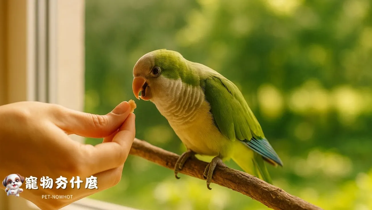 和諧互動下的正向訓練時刻