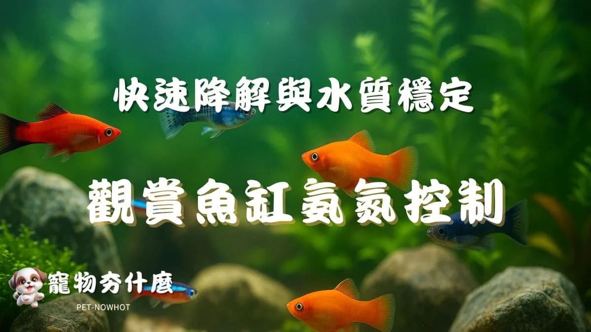 觀賞魚缸氨氮控制攻略