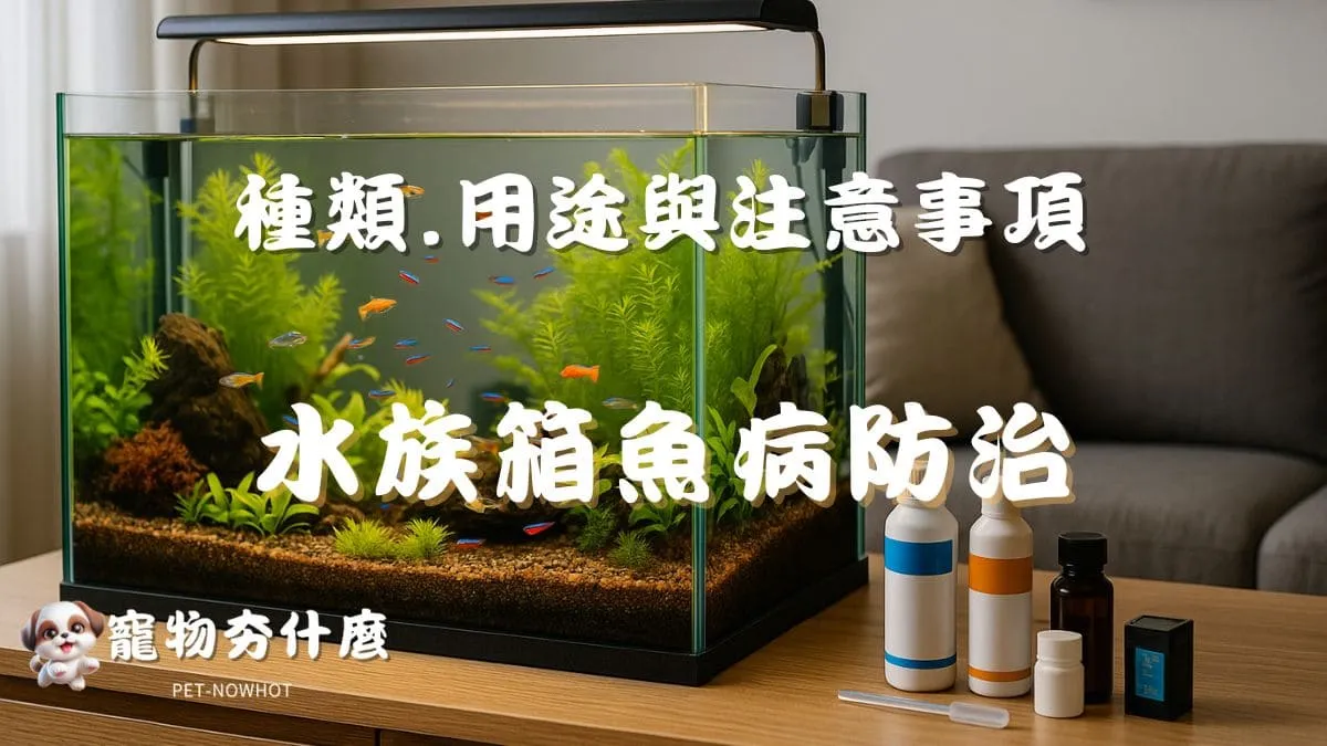 水族箱魚病防治藥物全解析