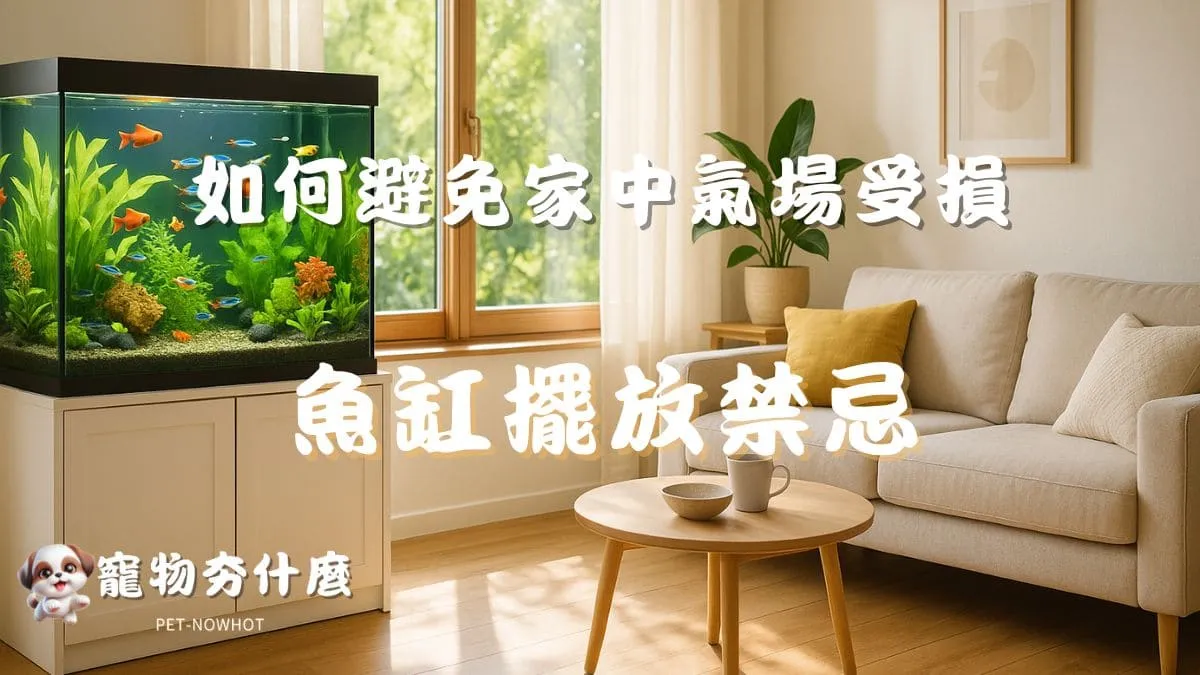 魚缸擺放禁忌大公開