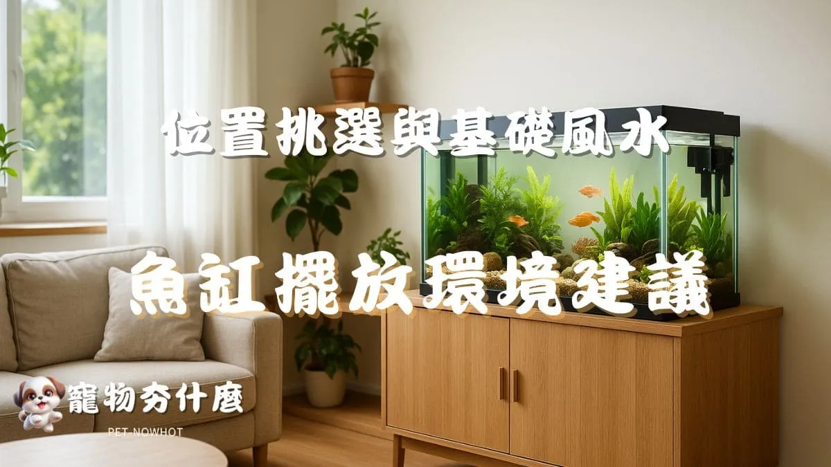 魚缸擺放環境建議