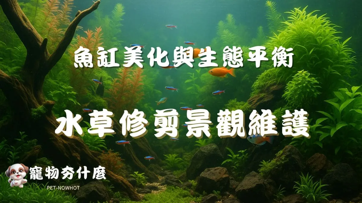水族箱水草修剪景觀維護