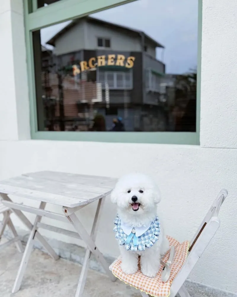 Archers Kitchen 弓箭手
