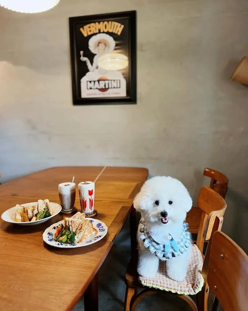 Archers Kitchen 弓箭手