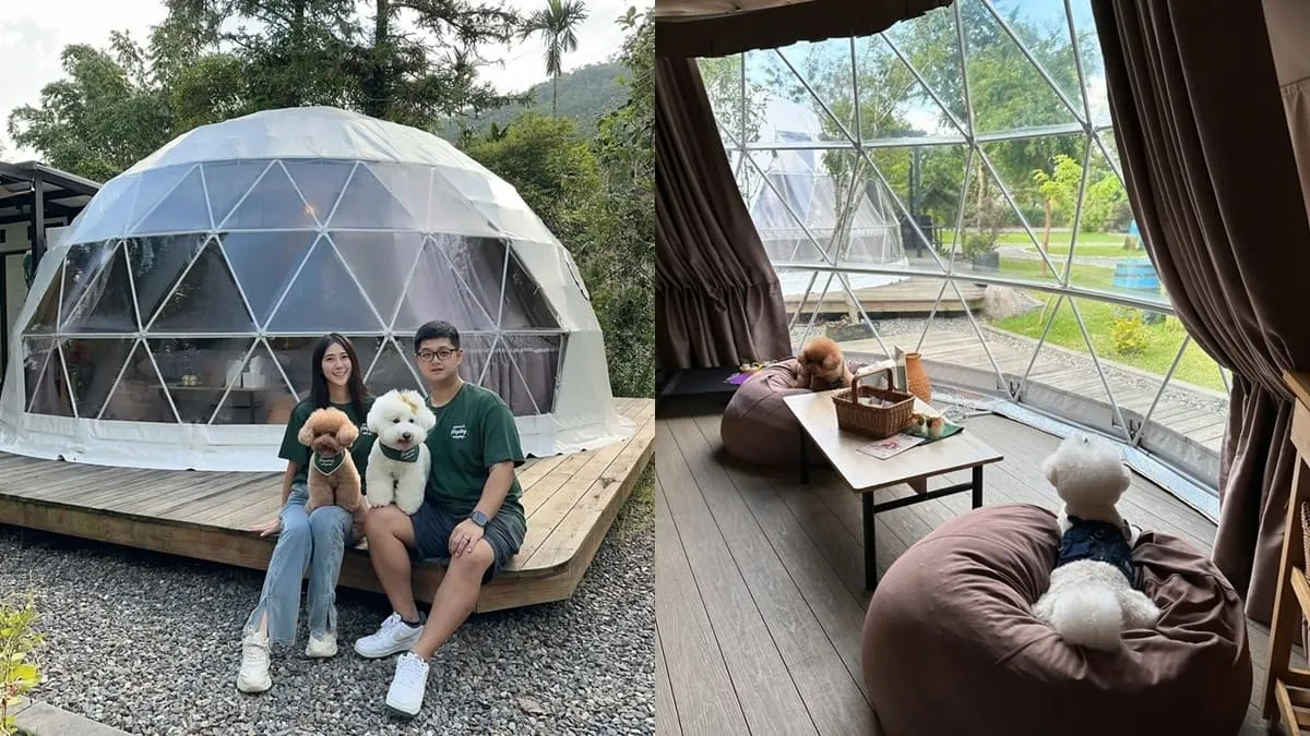 峇嵐杉丘奢華露營