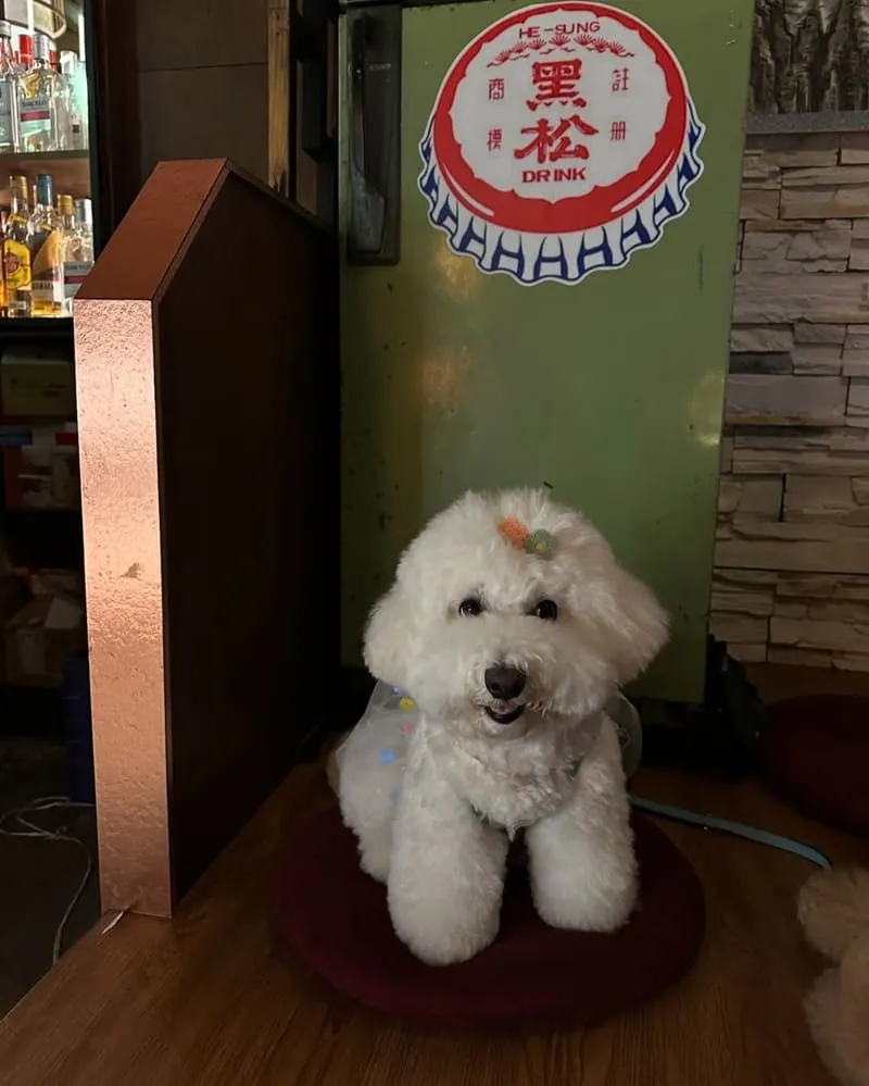 Bar清溪蘭礁溪復古酒吧