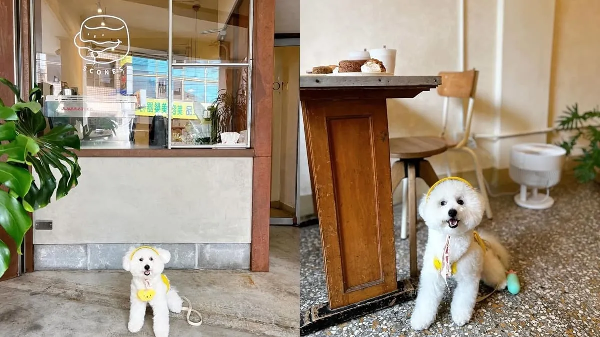巴倫司康嘉義店
