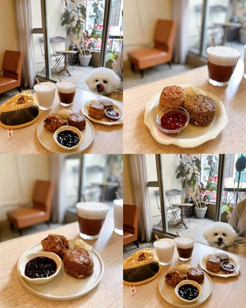 巴倫司康嘉義店