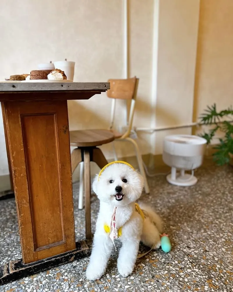 巴倫司康嘉義店