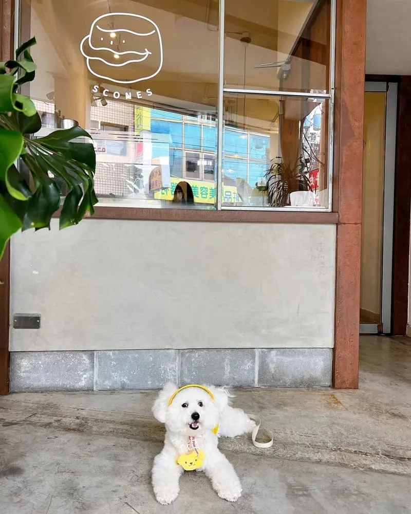 巴倫司康嘉義店