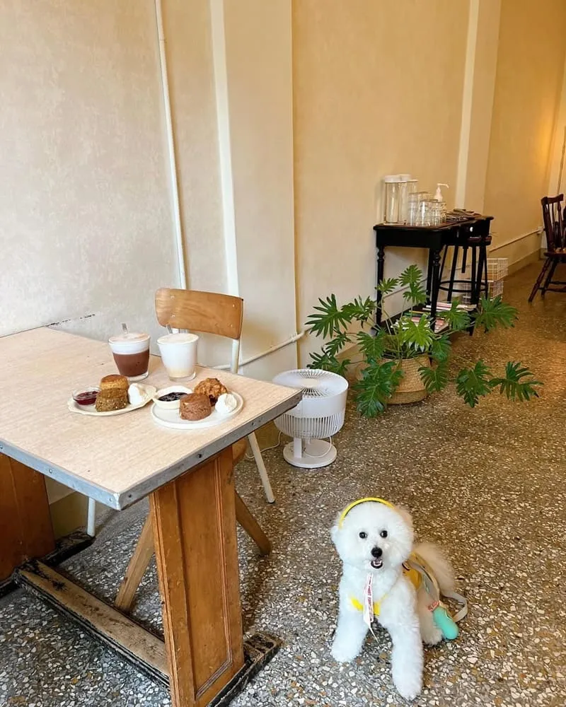 巴倫司康嘉義店