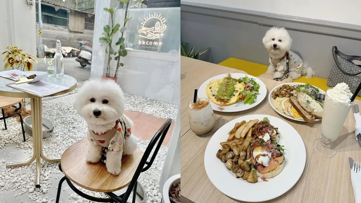 become彈性蔬食早午餐