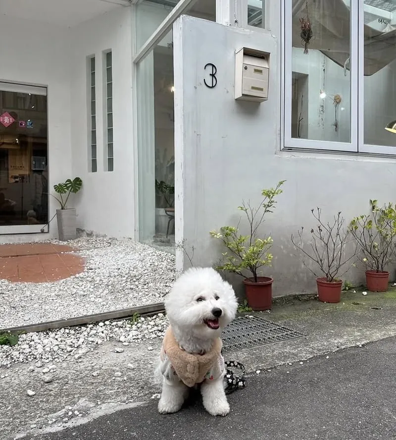 become彈性蔬食早午餐