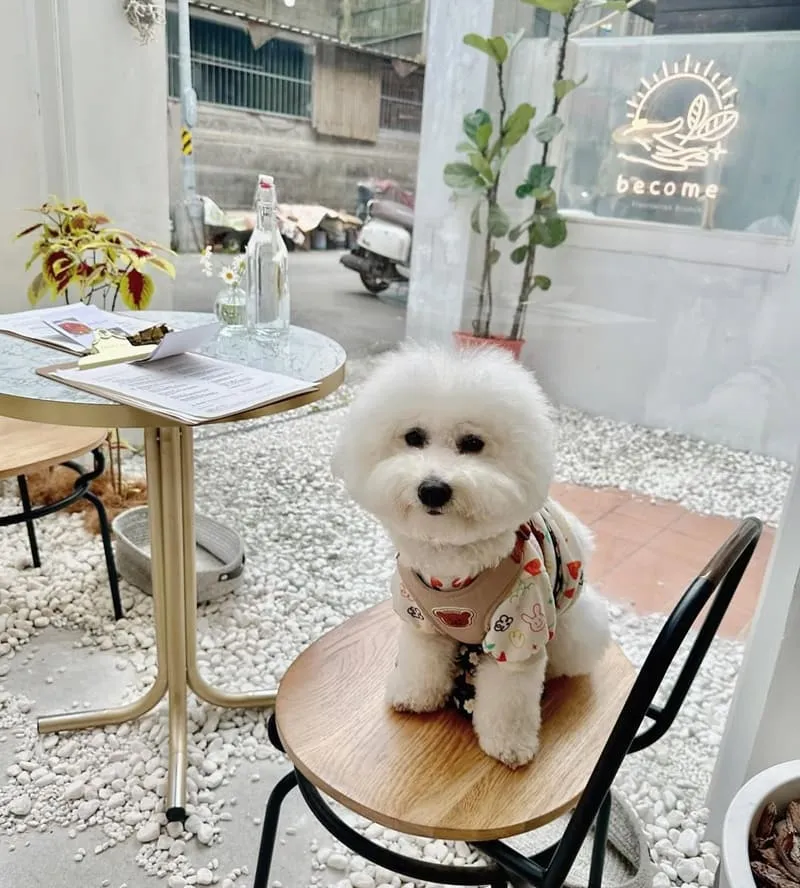 become彈性蔬食早午餐