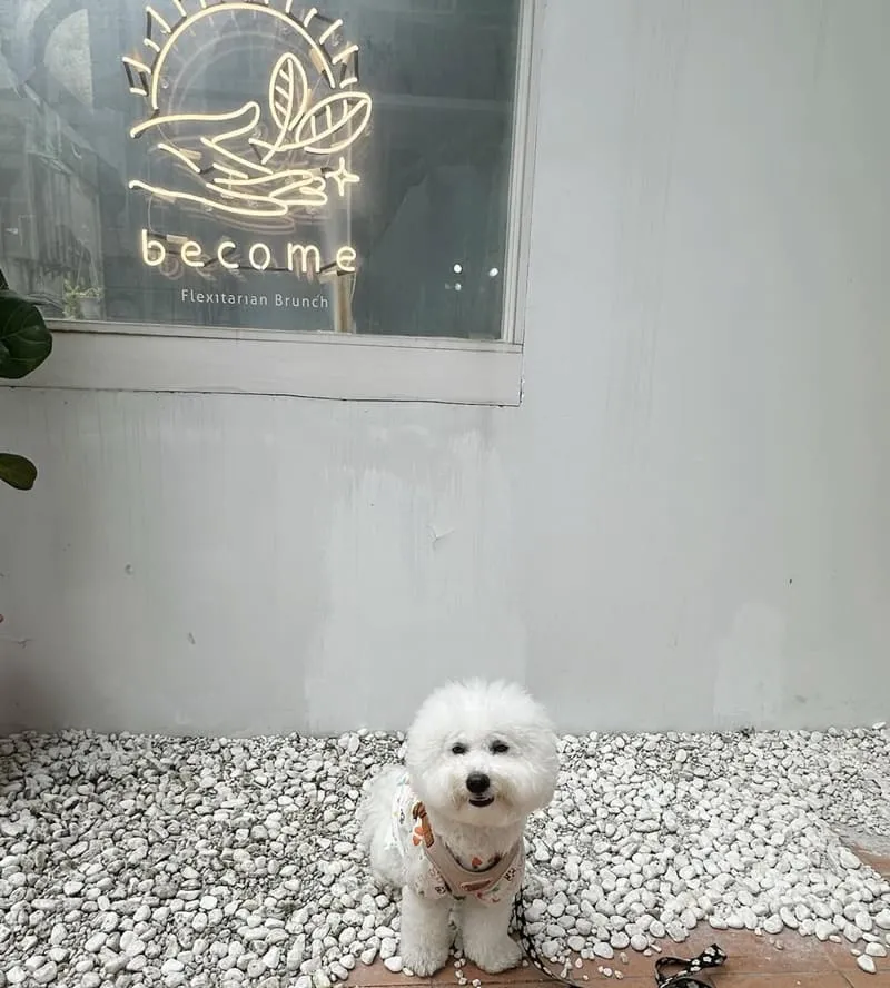 become彈性蔬食早午餐