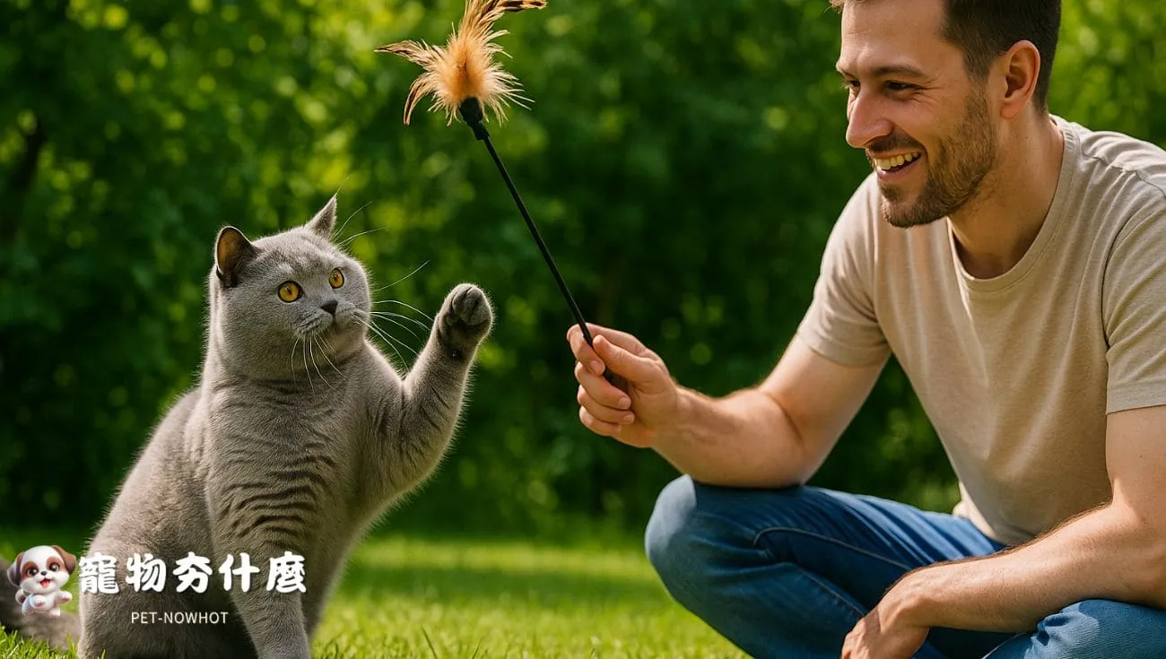 英短貓與主人戶外互動寫真
