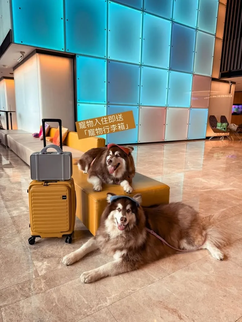 台北北投雅樂軒酒店