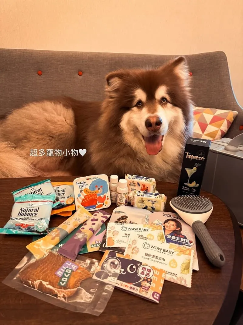 台北北投雅樂軒酒店