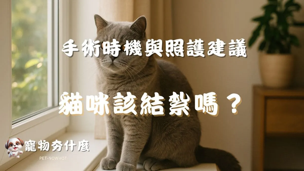 貓咪該結紮嗎？