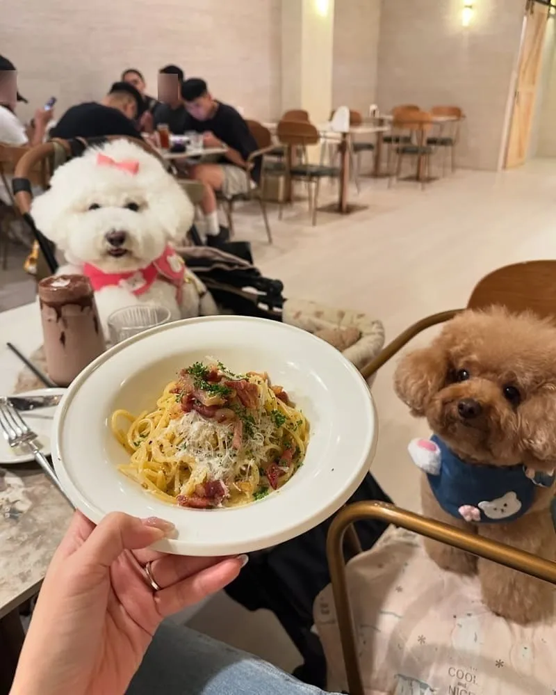 BOCCA跳進嘴裡義式手作餐廳