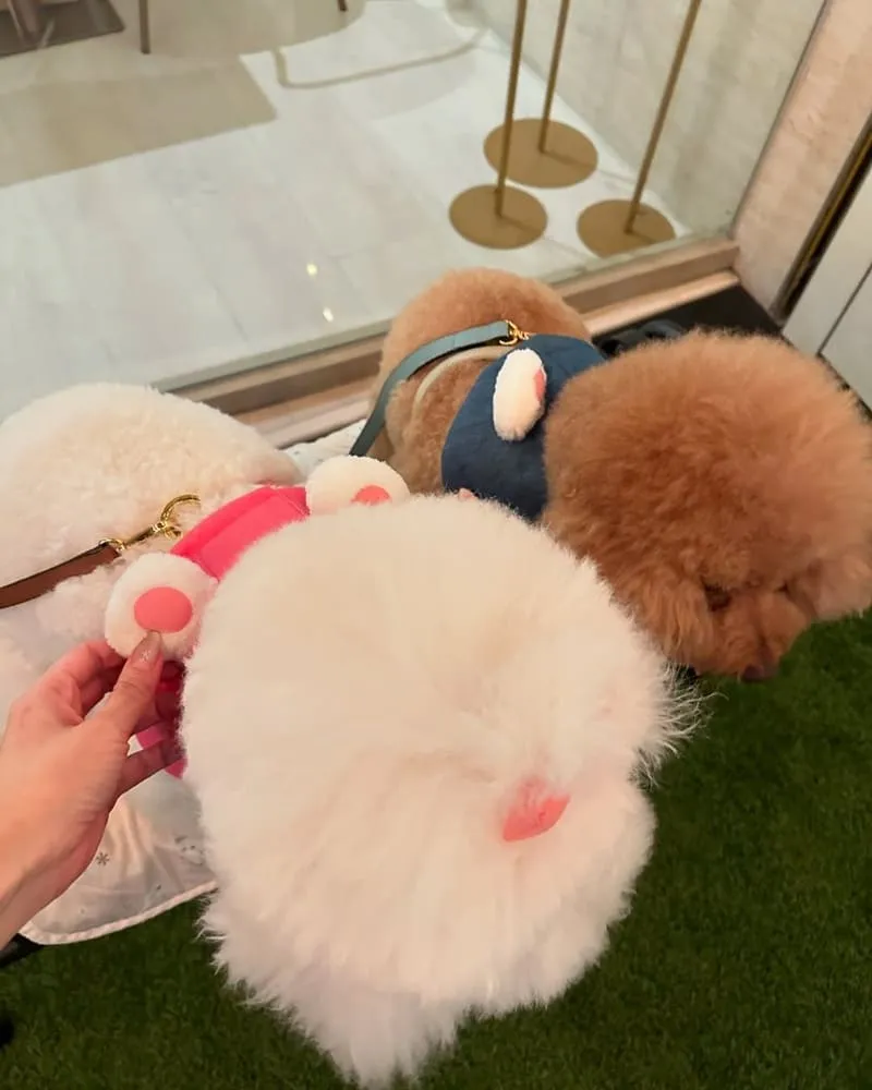 BOCCA跳進嘴裡義式手作餐廳