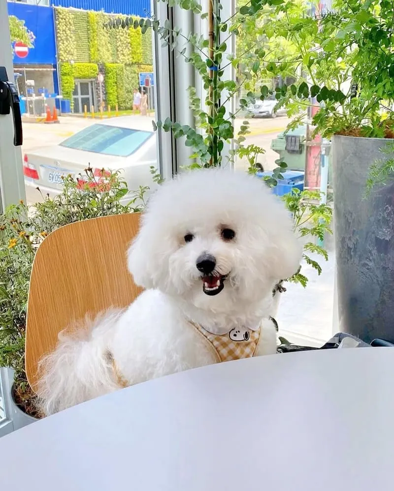 Brun不然文心森林店