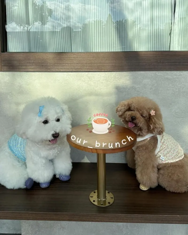 桃園吾食Our Brunch
