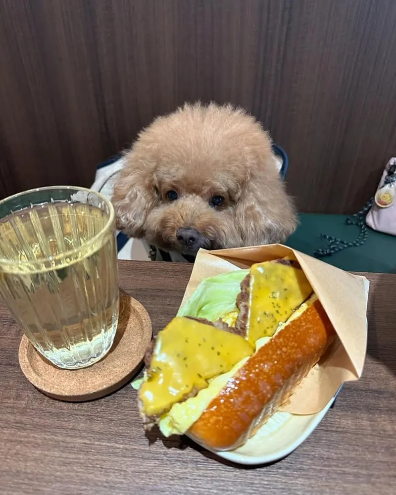 桃園吾食Our Brunch