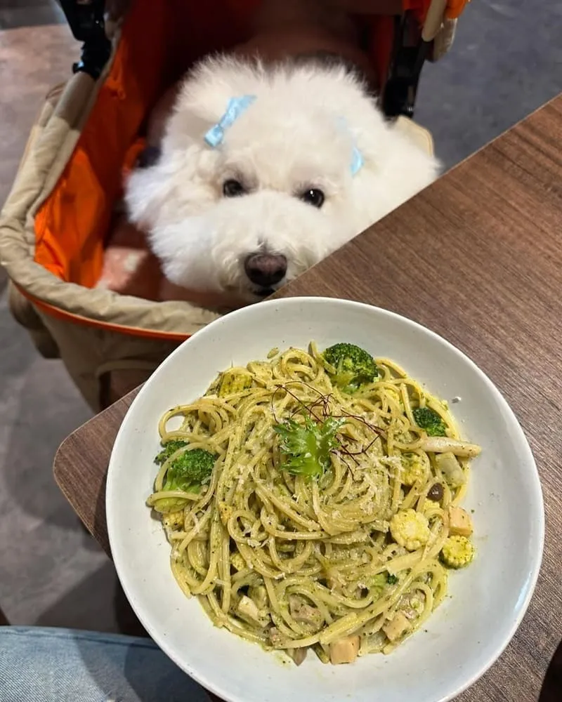 桃園吾食Our Brunch