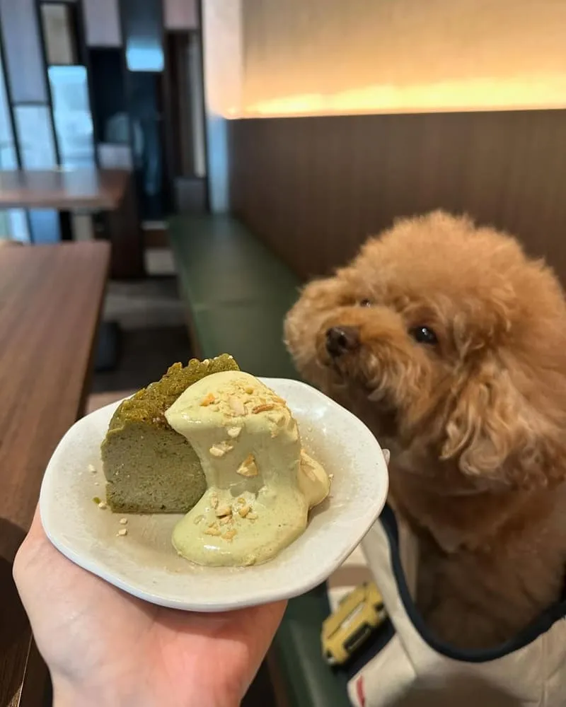 桃園吾食Our Brunch