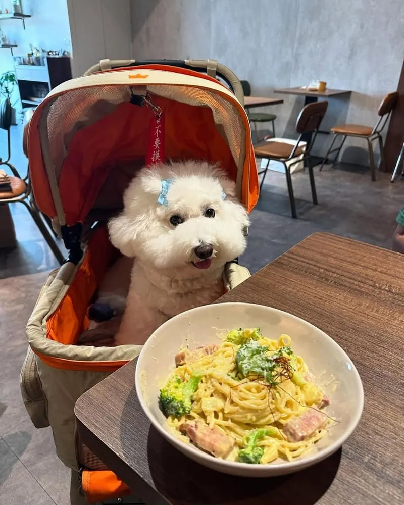 桃園吾食Our Brunch