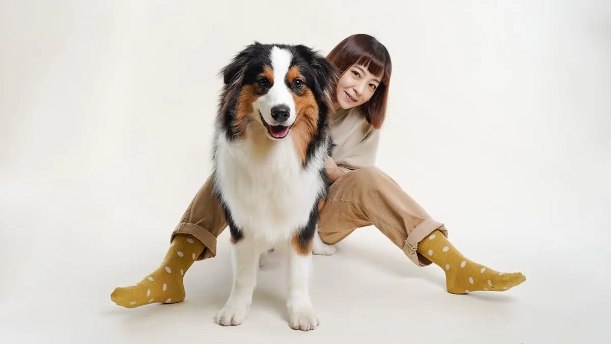 Buddy日系寵物攝影