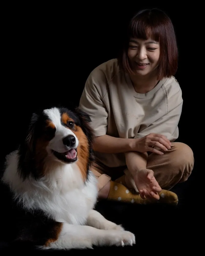 Buddy日系寵物攝影