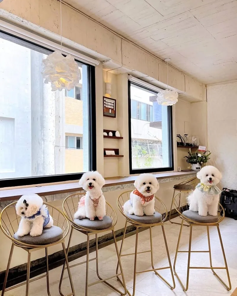 BUGSU Café峇粟咖啡