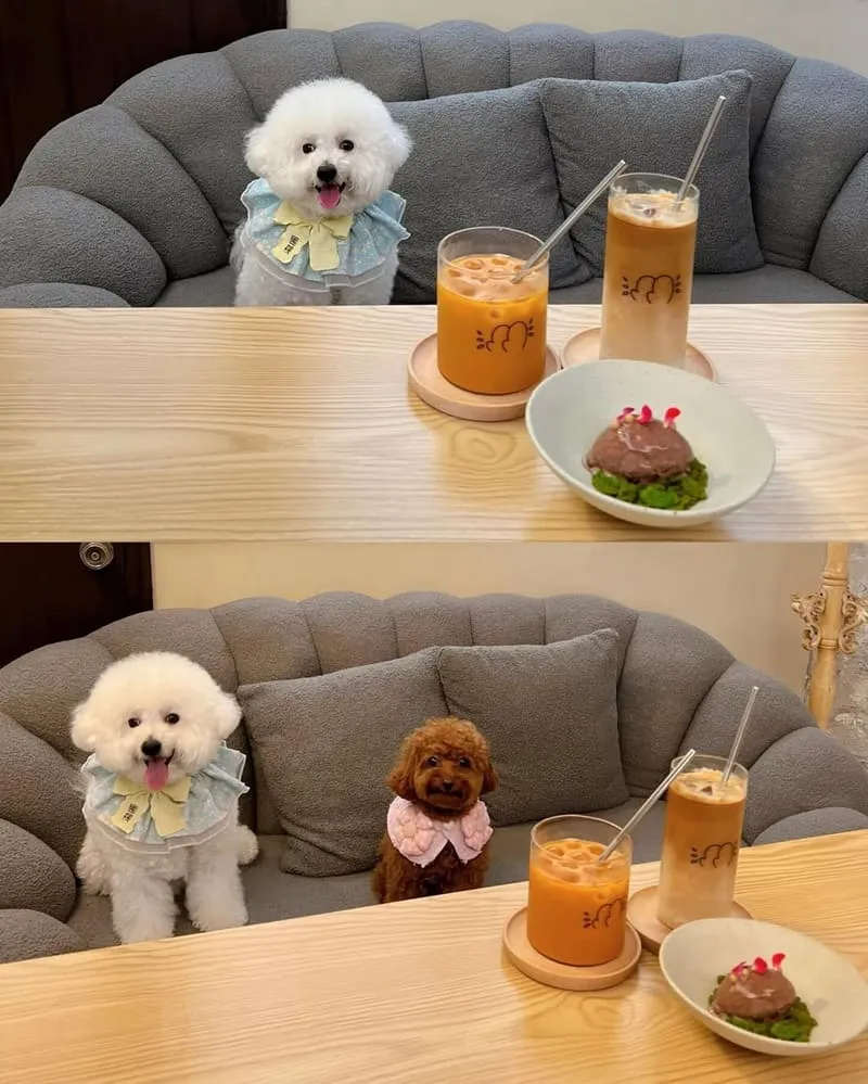 BUGSU Café峇粟咖啡