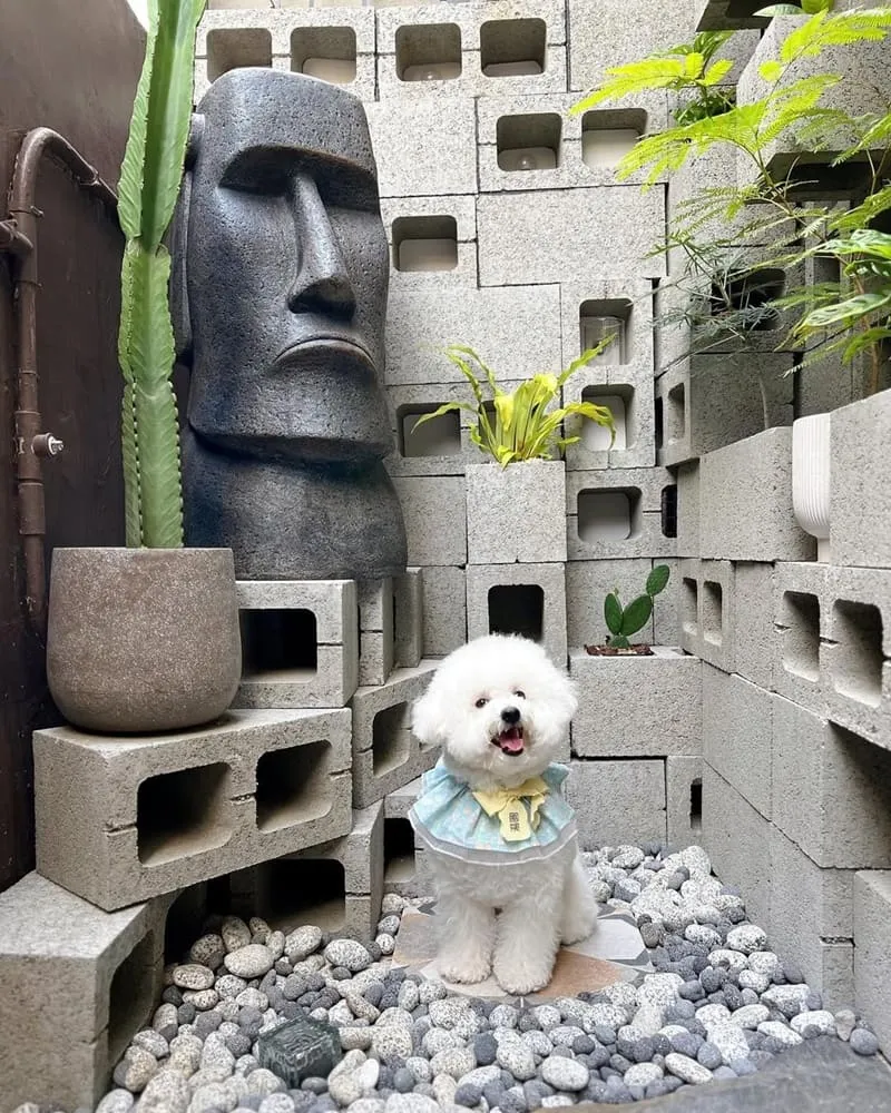 BUGSU Café峇粟咖啡