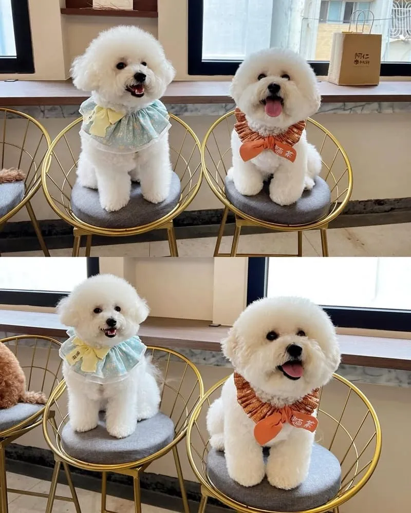 BUGSU Café峇粟咖啡
