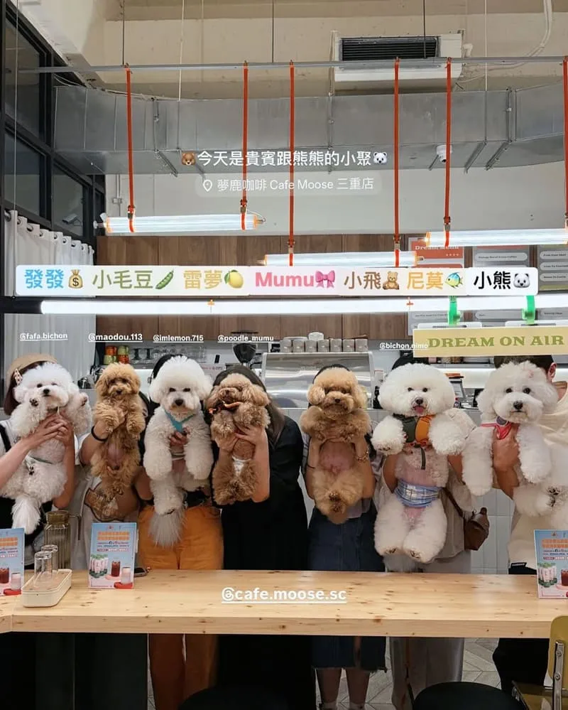 夢鹿咖啡 Cafe Moose 三重店
