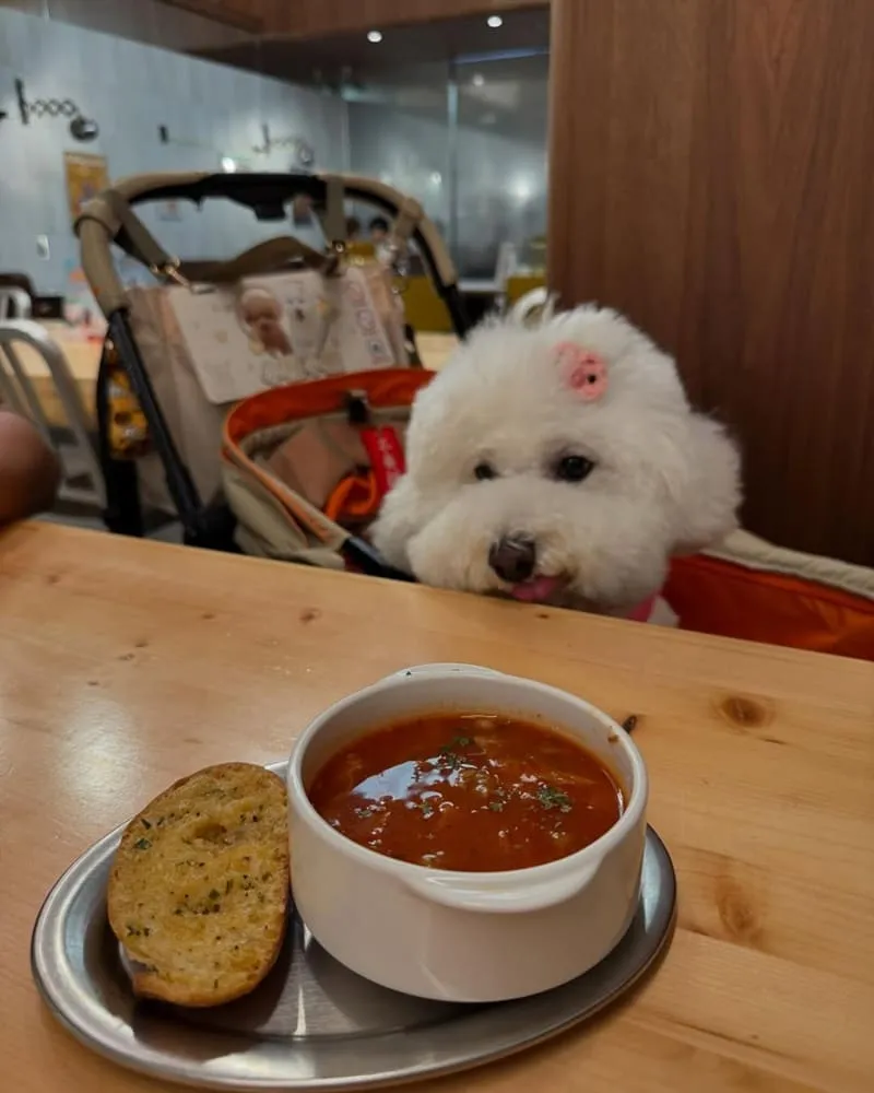 夢鹿咖啡 Cafe Moose 三重店